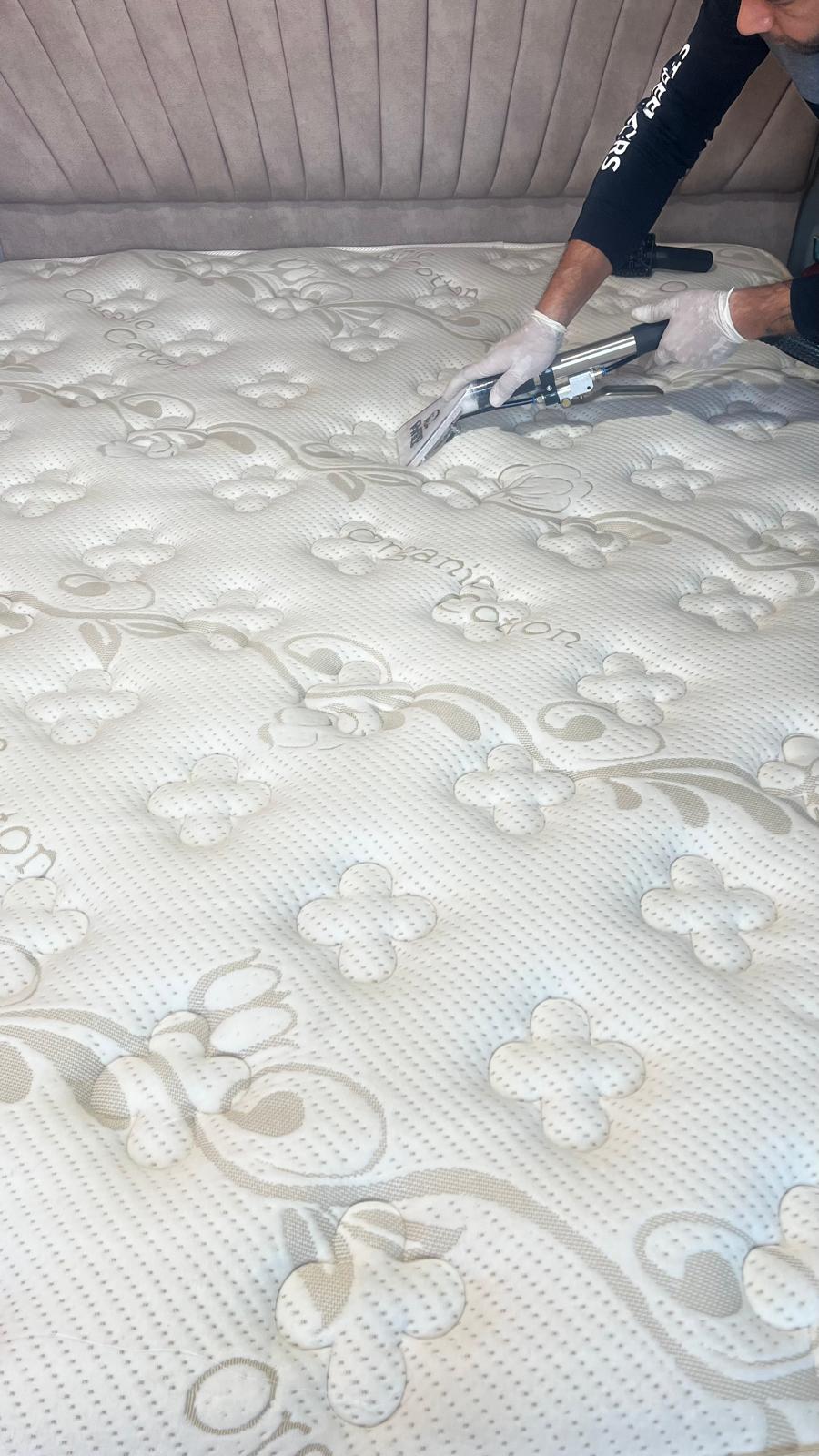 Çınar Buharlı Yıkama